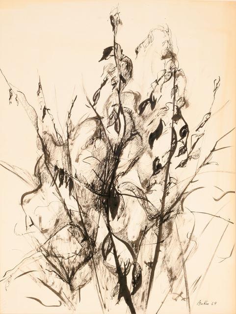 Plant Study